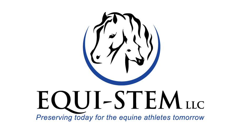 Equi Stem Final Logo